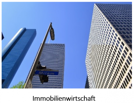 Immobilienwirtschaft.ng